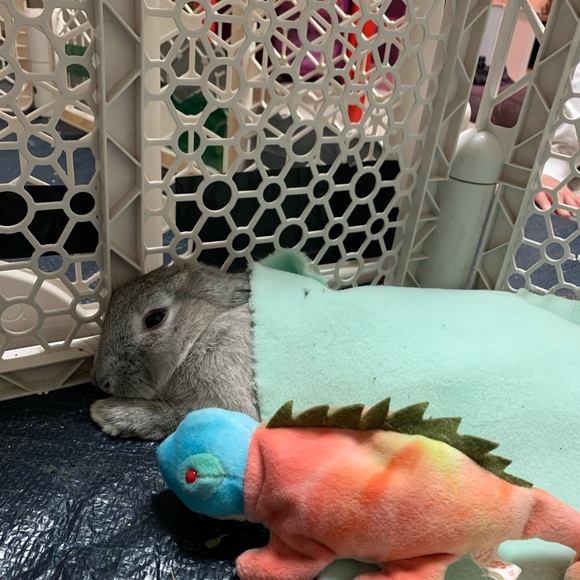 Promotion - Picture 3 of 3